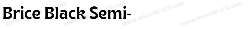Brice Black Semi字体转换